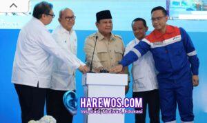 Kilang Minyak Pengganti LPG hingga Biodiesel, Prabowo Groundbreaking 13 Proyek Hilirisasi Rp 116 T