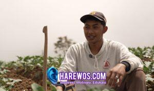 Petani Sayur di Boyolali Tersenyum Berkat MBG, Harga Naik dan Permintaan Meningkat
