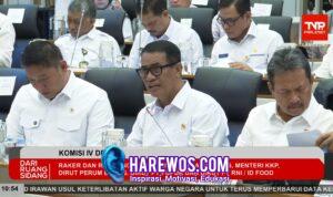 Pemerintah: Ketersediaan Jagung, Gula, hingga Telur Ayam Diproyeksikan Surplus Jelang El Nino Godzilla