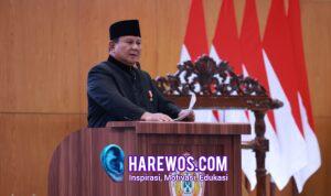 WhatsApp Image 2026-04-11 at 18.20.44