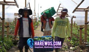 Penghasilan Naik, Uang Sekolah Terjamin, Petani di Cipanas Rasakan Dampak Nyata MBG