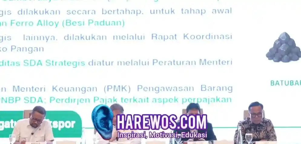 WhatsApp Image 2026-06-01 at 11.44.00