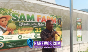 Wisata Petik Melon di Cisolok Resmi Dibuka, Dorong Pertanian Terintegrasi dan Ekonomi Lokal