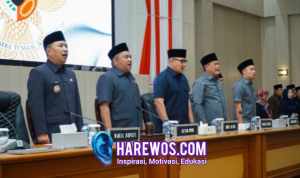 Harmoni Pandangan, Langkah Menuju Masa Depan