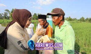 Legislator Gerindra, Hj. Rahmawati Program Prabowo Bikin Petani Makin Optimistis