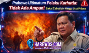 Prabowo Ultimatum Pelaku Karhutla Tidak Ada Ampun!, Bakal Cabut Izin Hingga Usut Pidana